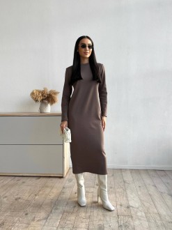 Жіноче максі плаття з рибани на флісі колір коричневий р.42/44 446054
