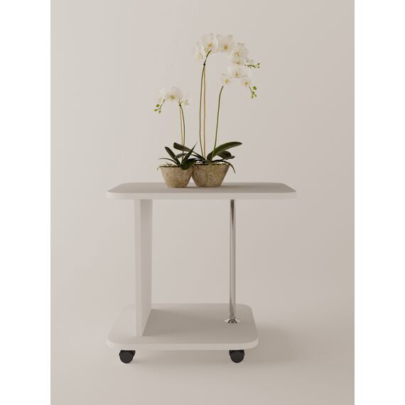 Журнальный стол ЖС-1 Белый 5х600х450 мм., Цвет: Белый, изображение 2