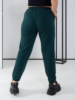 Жіночі штани колір смарагдовий р.62/64 450126